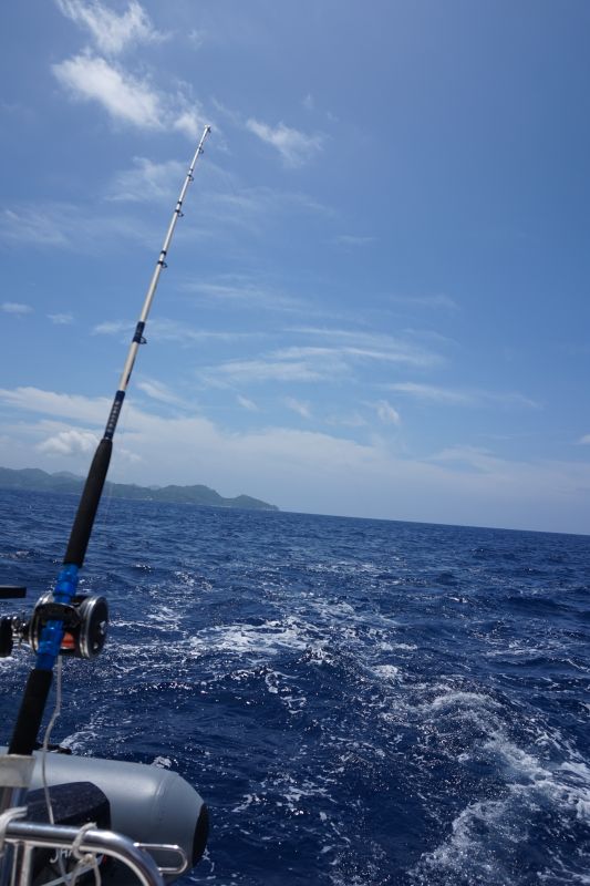 Les Seychelles ont les eaux les plus poissonneuses du monde