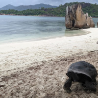 Croisière Seychelles 2