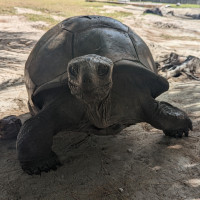 Croisière Seychelles 6