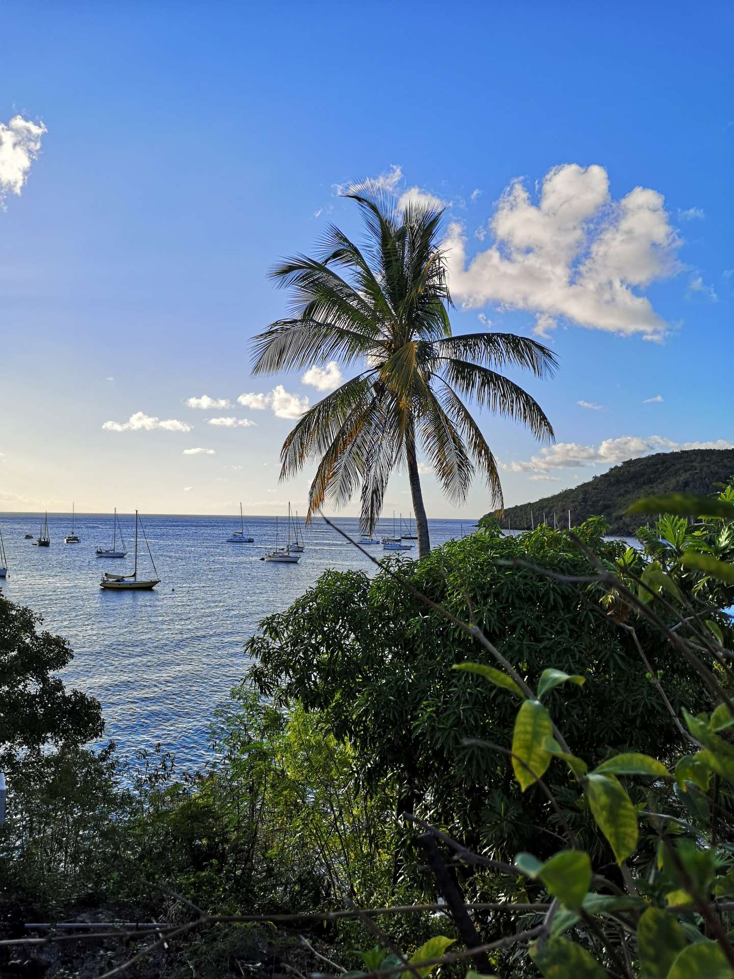 Croisière aux Antilles 3