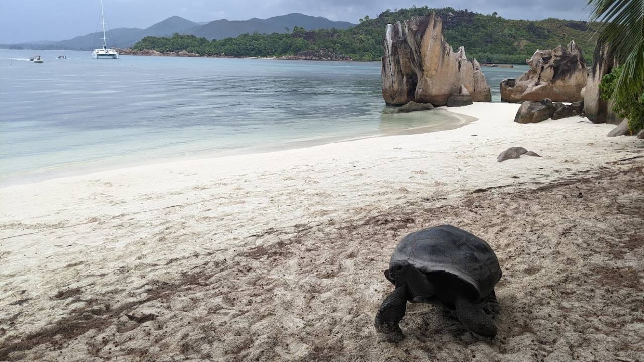 Croisière en catamaran aux Seychelles