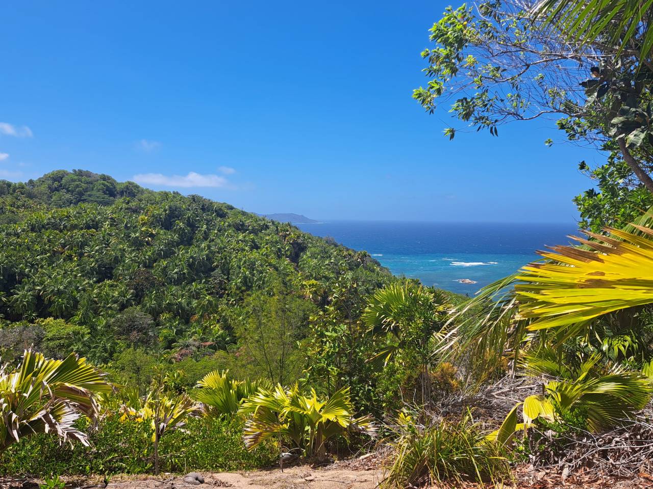 Panorama over the Indian Ocean from the Fond Ferdinand reserve