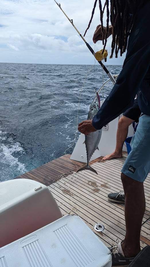 Partie de pêche en mer aux Seychelles