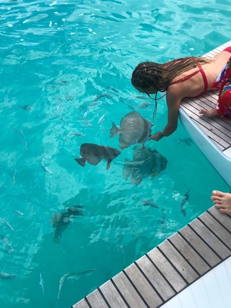 Snorkeling in the Seychelles in crystal-clear waters