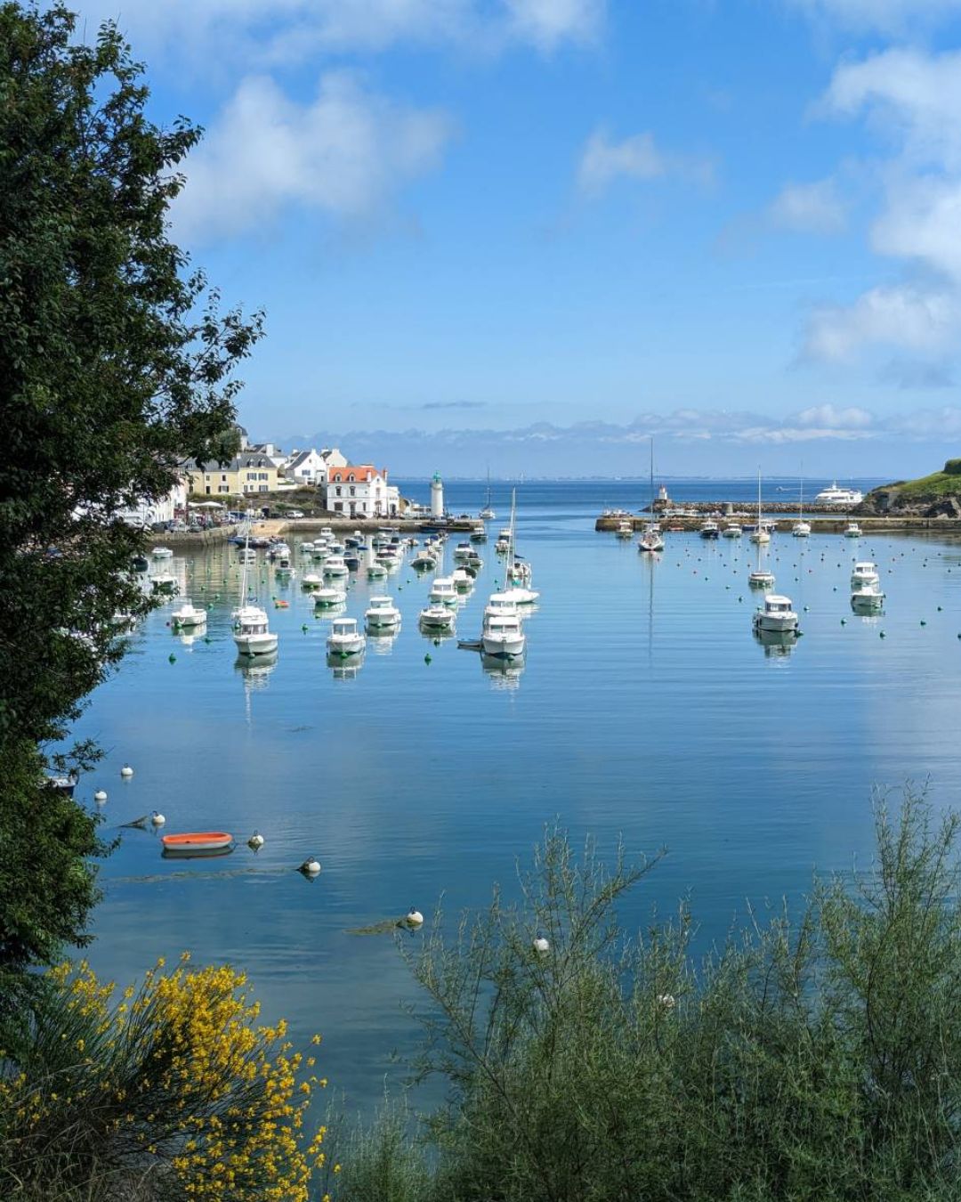 Catamaran Sailoé - Bretagne
