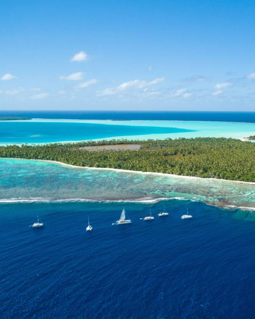 Catamaran Sailoé - Polynésie